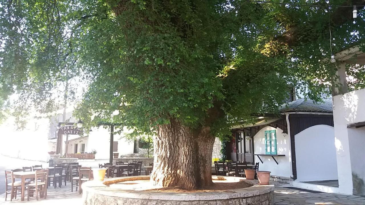 Elm Tree Dream Catcher Strinilas Dış mekan fotoğraf
